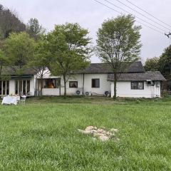 hill side User Photo