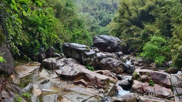 jing kong li da xia gu