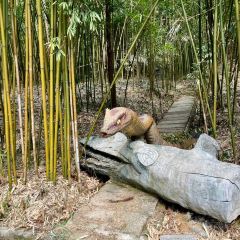 shi guang man yan User Photo