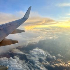 Da Fu Xing Yu Wan (Mei Shi Jie) User Photo