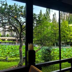 Qisu Court User Photo