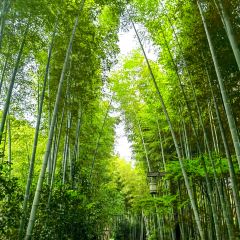 竹香居賓館張用戶圖片