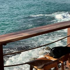 The Commune | Terrace & Bar User Photo