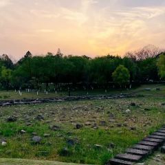 阿里亞娜餐廳張用戶圖片