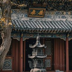 王福禄蓬莱小面 User Photo