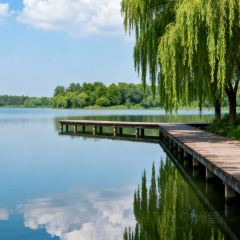 CRAYFISH KING User Photo