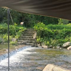 酥醪1號食住（酥醪店）張用戶圖片