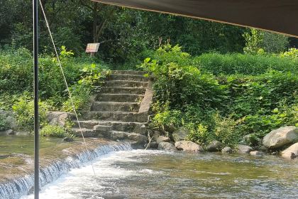 酥醪1號食住（酥醪店）