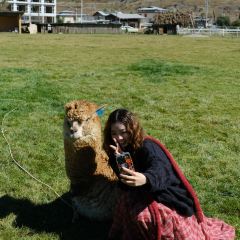 黑豆咖啡屋 User Photo