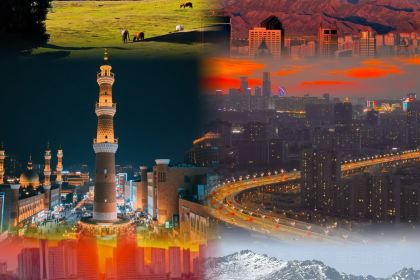 努日曼无花果抓饭快餐(和田街小区店)