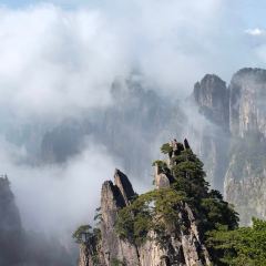 DE YUE LOU User Photo