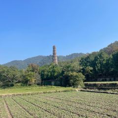 RONG CUISINE 여행 사진