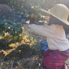 明味生態農莊張用戶圖片