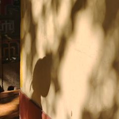 小清萊（惠城總店）張用戶圖片