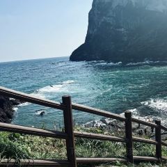 ZHUA FAN YU JIAN NANG KEN ROU User Photo