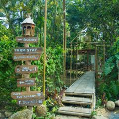 Baan Rai I Arun 여행 사진