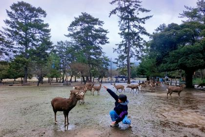 Kamameshi Shizuka Kouen-ten