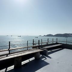 Having Moment User Photo