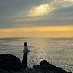 팀블로우 여행 사진