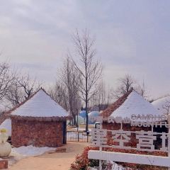 阅见山行 User Photo