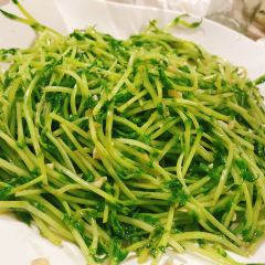 百家缘(东门南路店) User Photo