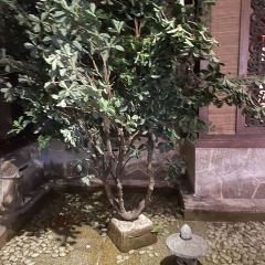 綠茶餐廳(無錫永珍城店)張用戶圖片