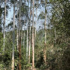 山涧别院 User Photo