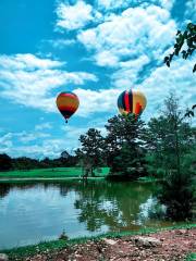 綠石林森林公園