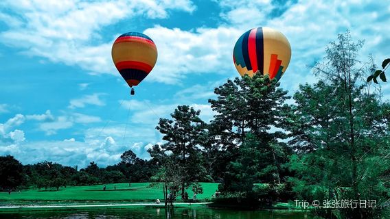 Lvshilin Forest Park