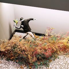 SHADOWS(光大店) User Photo