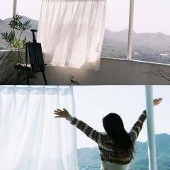 青芷森林·咖啡店 User Photo