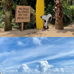 Olle Madang User Photo