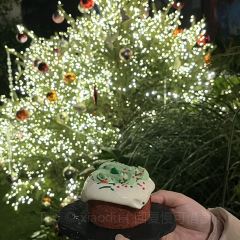 Cooperland User Photo