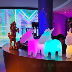 MAX SHANGHAI User Photo