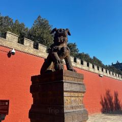 河东夜市 User Photo