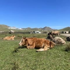 Le Bistro Francais User Photo