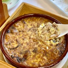 中山顺景花园酒店·领荟 User Photo