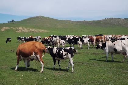 醺明咖啡whisky&cocktail酒吧