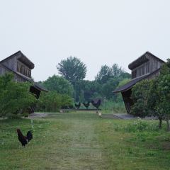 良壤有机庄园 User Photo
