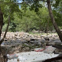 holymen后门儿咖啡店 User Photo