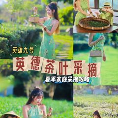 T三峰林茶谷野奢帐篷营地·T三茶宴 User Photo