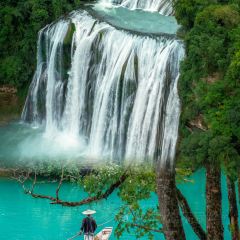 王幺嬢老字号洋芋粑張用戶圖片