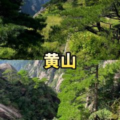 秀嫂撻粿張用戶圖片