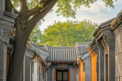 东盛·御园大酒店(餐饮部)