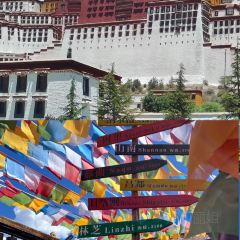 RU YI LIN KA TONG GUO MAO NIU ROU User Photo