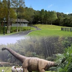 溧陽澗谷溫德姆至尊豪廷溫泉飯店·鐵板燒餐廳張用戶圖片