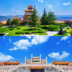 老牟家牦牛酸奶 User Photo