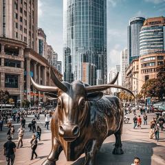 六月雪干锅(诗城路店) User Photo