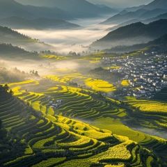 杨萍粉店 User Photo