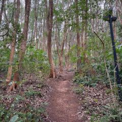 TONG QING LOU 여행 사진